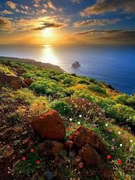 Maybe you would like to learn more about one of these? Free Jigsaw Puzzles 2 0 Download Android Apk Aptoide
