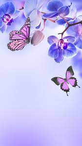Wallpapers For Phone Orchid Wallpaper Butterfly Wallpaper Hd Flower Wallpaper