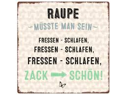 20x20cm Metallschild Turschild Raupe Musste Man Sein Spruch Lustig Di