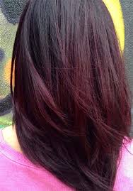 Take the whole process to another level by adding some burgundy or purple highlights on your black hair. Chocolate Cherry Dark Red Highlights On Black Hair Novocom Top