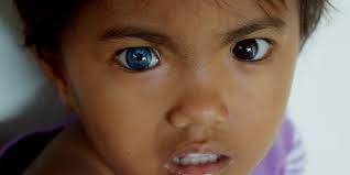 Maybe you would like to learn more about one of these? Kenapa Ada Orang Yang Bermata Biru Sains Menjelaskan