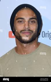 Si rex hi-res stock photography and images