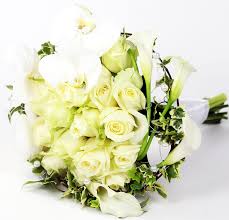 Personalised cards £3.99 · satisfaction guarantee · free chocolates Same Day Flowers Company Flowers24hours Introduces A New Range Of Magnificent Roses