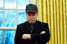 Elon Musk joins Trump in Oval Office to back new executive orders on  government efficiency