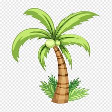 Kelapa sawit terdiri daripada dua spesies arecaceae atau famili palma yang digunakan untuk pertanian komersil dalam pengeluaran minyak kelapa sawit. Pohon Palem Hijau Gambar Kelapa Pohon Palem Yang Dilukis Dengan Tangan Lukisan Cat Air Daun Fotografi Png Pngwing