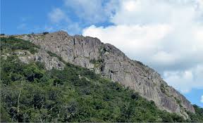 No wonder pedra branca band, from são paulo, brazil, plays ethnical instruments and electronic timbres to create brazilian experimental music. Aspecto Geral Da Rebio Da Serra Da Pedra Branca Mostrando O Cume Da Download Scientific Diagram