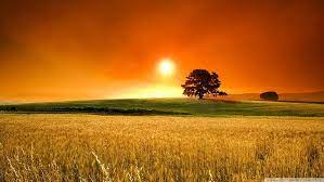 We did not find results for: Hd Wallpaper Sunset Nature Summer Nature Seasons Hd Art Wallpaper Flare
