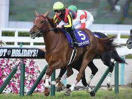 The site owner hides the web page description. å¤§é˜ªæ¯2020çµæžœ ãƒ©ãƒƒã‚­ãƒ¼ãƒ©ã‚¤ãƒ©ãƒƒã‚¯ãŒæŠœã'å‡ºã—æˆ´å†  ç‰é¦¬ã®ãƒ¯ãƒ³ãƒ„ãƒ¼ ç«¶é¦¬ã¾ã¨ã‚ãƒ‹ãƒ¥ãƒ¼ã‚¹ Netkeiba Com