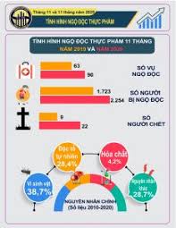 Năm canh tý (âm lịch). Infographic Tinh Hinh Ngá»™ Ä'á»™c Thá»±c Pháº©m Thang 11 Va 11 Thang NÄƒm 2020 General Statistics Office Of Vietnam