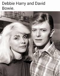 Punk Rock Gardening & Bird Watching!