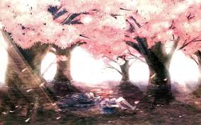 Maybe you would like to learn more about one of these? Cherry94 S Profile Myanimelist Net Anime Cherry Blossom Anime Cherry Blossom Wallpaper