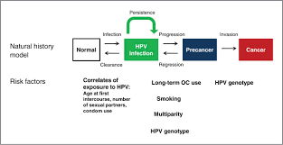 There are also other known risk factors. Human Papillomavirus Infection And The Multistage Carcinogenesis Of Cervical Cancer Cancer Epidemiology Biomarkers Prevention