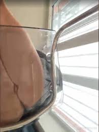 Feral_berry_156 milk drips as she masturbates - CamWhores