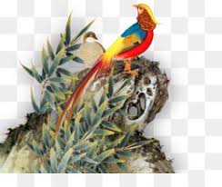 Baru 30++ gambar kartun anak laki laki keren. Murai Unduh Gratis Cat Air Bunga Bulu Lukisan Cat Air Lubang Murai Bulu Gambar Png