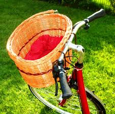 Discover more about the latest best beach cruiser reviews from our rich collection. A Women S Cruiser Bike With Basket To Live The Dream