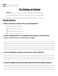 The evolution lab is an online natural selection simulation. Evolution Natural Selection Worksheet By Engaging Einsteins Tpt
