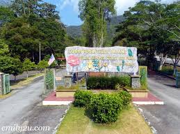 Lorong rimba, teluk bahang, 11050 tanjung bungah, pulau pinang. Top 10 Things To Do In Penang For Free From Emily To You Part 2