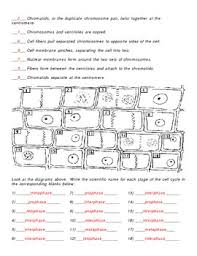 A double membrane composed of lipids and proteins. Cell Division The Cell Cycle Mitosis And Cytokinesis Complete Unit