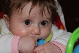 Amer Sibai's Instagram, Twitter & Facebook