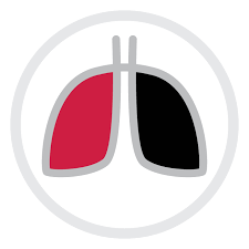 Dna is the chemical in our cells that makes up our genes, which control how our. Health Benefits Of Quitting Smoking Over Time