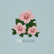 Korean National Flower Flower Drawing Design Flower Drawing Rose Of Sharon