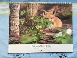 New Photography for the New Year