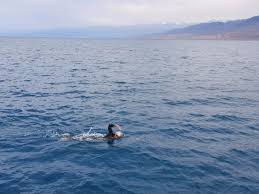 Swimming at the 2020 olympics will feature a total of 37 events (18 each for men and women and 1. Marathon Swimmer Vitaliy Khudyakov Gets Ok To For Olympics Spot