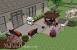 Backyard Patio Patio Landscape Ideas