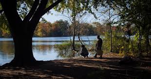 A few stills from "The Butterfly Effect"