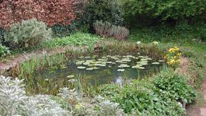 Check spelling or type a new query. Bbc Breathing Places Build A Pond