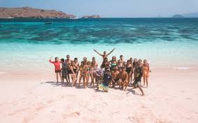 Apparently, there are only a handful (the exact number seems a little sporadic) of pink sand beaches in the world, a few of which are in indonesia. Pink Beach Komodo Island Pink Sand Beach And Epic Snorkeling We Seek Travel Blog