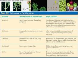 Plant Hormones And Their Functions Phytohormone Profiling Across The Bryophytes