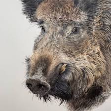 Jessica Lennox Jessicalennox Instagram Photos And Videos Wild Boar Hunting Art Wildlife Art