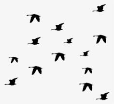 Flying Bird Silhouette Png Images Transparent Flying Bird Silhouette Image Download Pngitem Flock of birds png colorful flying birds png white birds flying png angry birds png birds hd png love birds vector png. flying bird silhouette png images