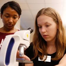 Battle teacher recognized as one of state's top new science teachers