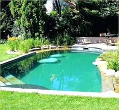 11 Attraktiv Mini Pool Garten In 2020 Schwimmteich Selber Bauen Schwimmteich Hintergarten