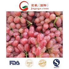 China daily, echoing the chinese foreign minister but not the government of hong kong, claimed in a monday editorial that dirty tricks prompted the overwhelming rejection of chinese rule. China Grapes Grapes Manufacturers Suppliers Price Made In China Com