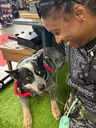 Dog owners: What time is your dog's last walk or bathroom break?