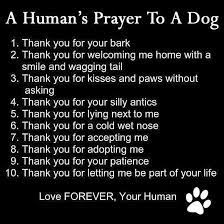 Prayer for pets rainbow bridge. Rainbow Bridge Pet Memorial Photos Facebook