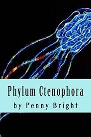 Ctenophores are invertebrates, so they don't have a backbone and have pretty simple body plans. Phylum Ctenophora Phylum Series Of Satirical Fiction Kindle Edition By Bright Penny Literature Fiction Kindle Ebooks Amazon Com