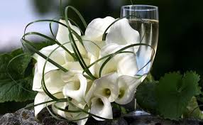 Usare dei piccoli tronchi di legno rientra tra i modi creativi per decorare casa con i fiori. Calla Fiore Significato Fiori Fiore Della Calla
