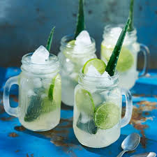 Prarievarg Drinkrecept Recept Drinkrecept Sommardrinkar Drinkar