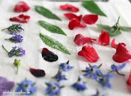 Wenn sie die kleinen delikatessen einfach so. Kandierte Bluten Rezept Kandieren Blumen Essen Kreppapierrosen
