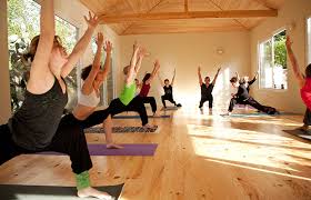 You can not only observe your. Yoga For Beginners Your Guide To 9 Most Popular Types Of Yoga