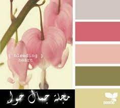 تنسيق ألوان دهانات الحوائط تنسيق ألوان دهانات الجدران تنسيق ألوان دهان المنزل تنسيق ألوان دهان تنسيق ألوان دهان الجدران تنس painting art paint colors