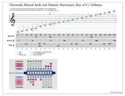 Chromatic Harmonica Note Chart Related Keywords