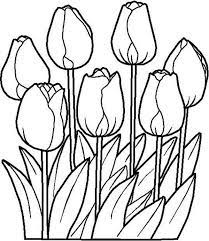 Just choose a picture you like and click on print sign. Beautiful Tulip Flower Coloring Page Kids Play Color Spring Coloring Pages Flower Coloring Pages Garden Coloring Pages