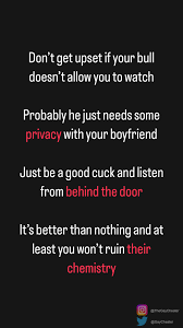 The Cheating CashMaster (21k) on X: Good morning with this quick reminder  for all cucks (including mine 🙄) t.coZZTvaqi9Ef  X