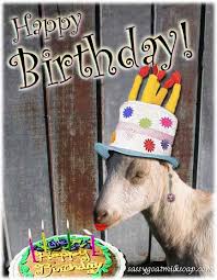 Goat Birthday Images Registered Member 33 Birthday Images Funny Happy Birthday Goat Happy Birthday Meme