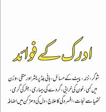 ������ ادرک کے فوائد ������������